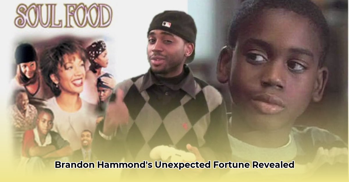 brandon-hammond-net-worth